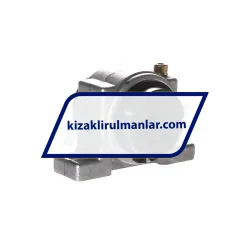 INA KGBS20-PP-AS rulman resim 2