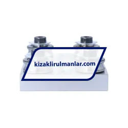 INA LFLL52-SF rulman resim 2