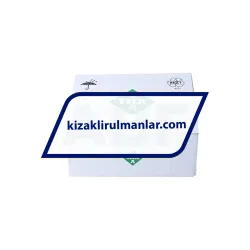 INA LFLL52-SF rulman resim 4