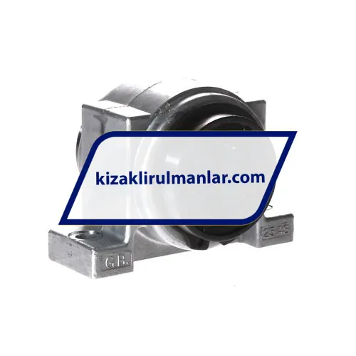 INA KGB25-PP-AS