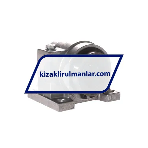 INA KGBAS30-PP-AS