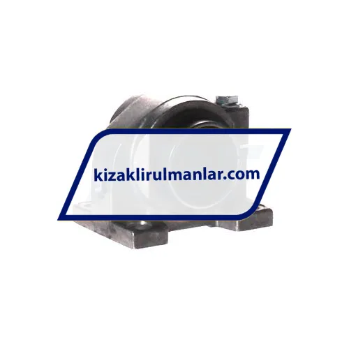 INA KGBAS16-PP-AS ürün fotoğrafı 3