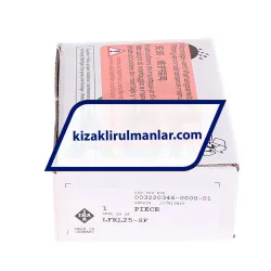 INA LFKL25-SF rulman resim 4