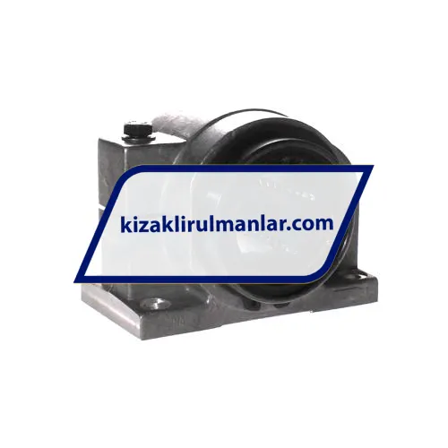 INA KGBAS50-PP-AS ürün fotoğrafı 3