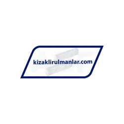 INA KUVS17-B rulman resim 2