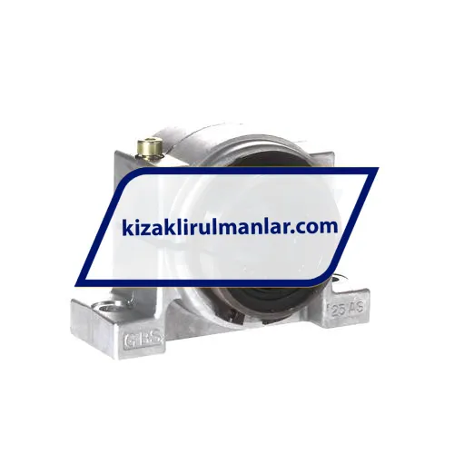 INA KGBS25-PP-AS