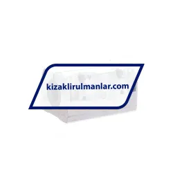 INA KTNS16-B-PP-AS