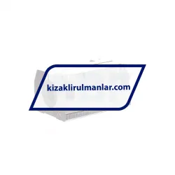 INA KTNS16-B-PP-AS rulman resim 4