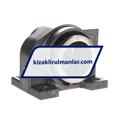 INA PAGBA40-PP-AS rulman resim 2