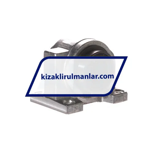 INA KGBA16-PP-AS ürün fotoğrafı 2