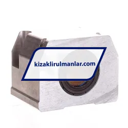 INA KGSNG25-PP-AS