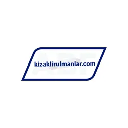 INA KUVS13-B-RROC rulman resim 2