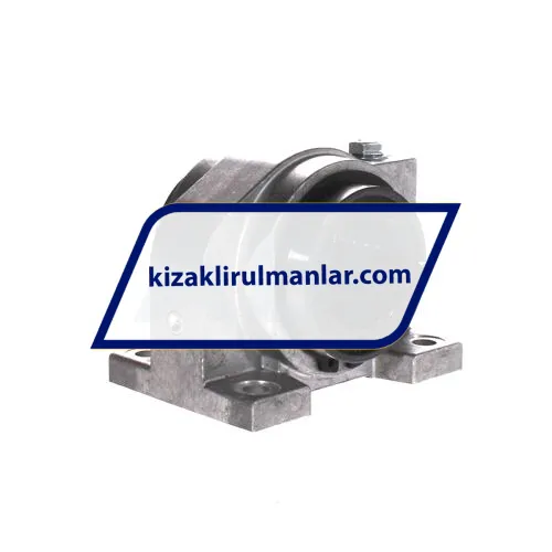 INA KGBAS40-PP-AS ürün fotoğrafı 4