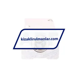 INA KTHK12-B-PP-AS rulman resim 2