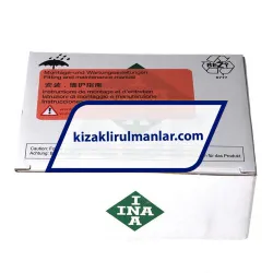 INA LFKL32-SF-RB rulman resim 4