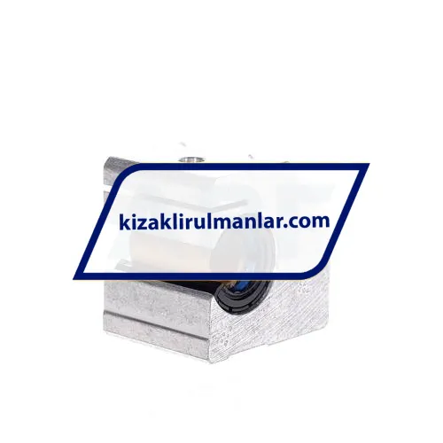 INA KGSCS20-PP-AS