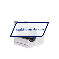 INA KGSCS20-PP-AS
