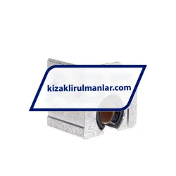 INA KGSCS20-PP-AS rulman resim 2