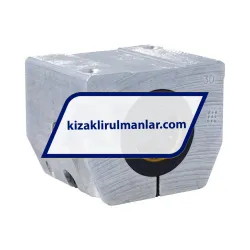 INA KGNS30B PP AS