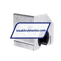 INA KGSCS25-PP-AS rulman resim 2