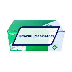 INA KTSG12-PP-AS rulman resim 4