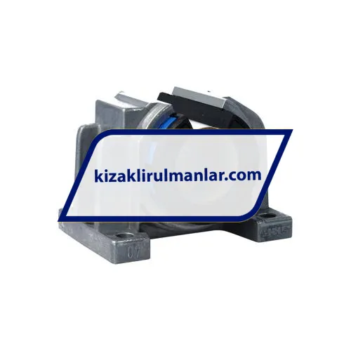 SKF LUCT40BH-2LS