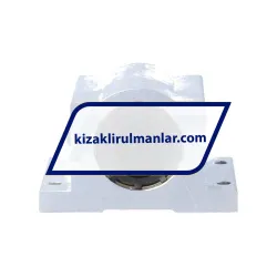 Thomson SSUPB12 rulman resim 3