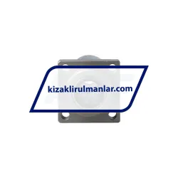 Askubal LCF20BLUU rulman resim 2