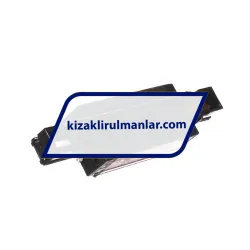 NSK NAH15BNZ rulman resim 2