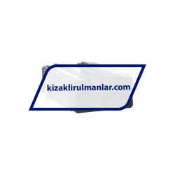 THK SR30W1SS rulman resim 4
