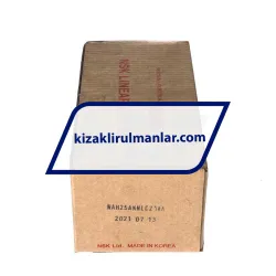NSK NAH25ANNLCZ1AA rulman resim 4
