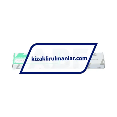 Nippon Bearings SEBS5BUU-Z ürün fotoğrafı 3
