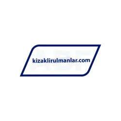 Nippon Bearings SEBS5BUU-Z rulman resim 1