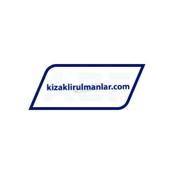 Nippon Bearings SEBS5BUU-Z rulman resim 2