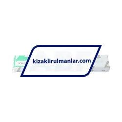 Nippon Bearings SEBS5BUU-Z rulman resim 3