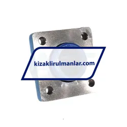 Neutral LVCD30D-2LS rulman resim 4