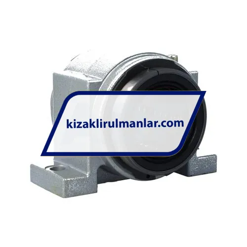 INA KGBS50100PP ürün fotoğrafı 2