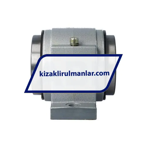 INA KGBS50100PP ürün fotoğrafı 3