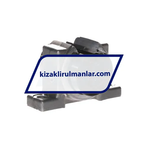INA KGBAS20-PP-AS