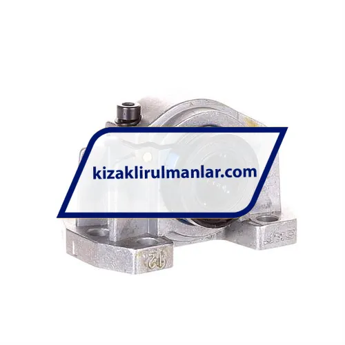 SKF LUCS12-2LS