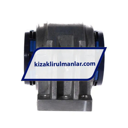 SKF LUCD50-2LS ürün fotoğrafı 2