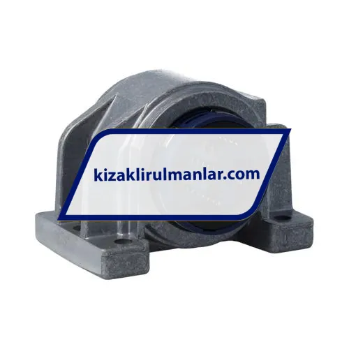 SKF LUCD25 ürün fotoğrafı 2