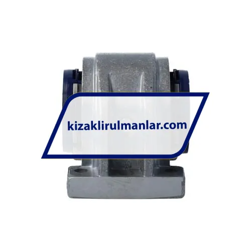 SKF LUCD25 ürün fotoğrafı 3
