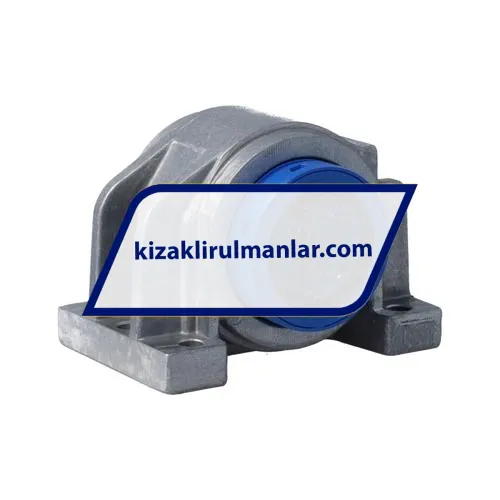 SKF LUCD25D-2LS