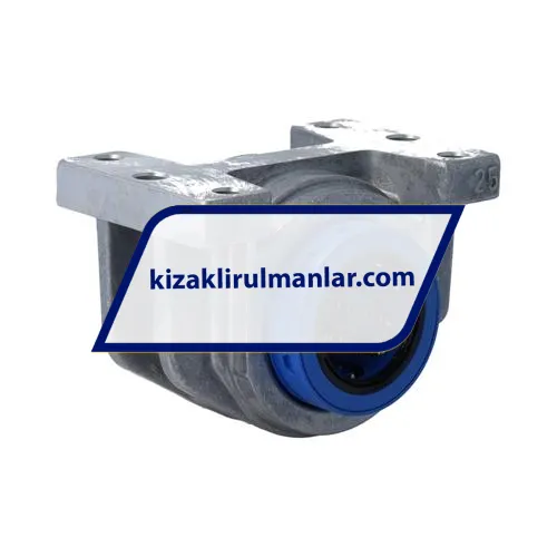SKF LUCD25D-2LS ürün fotoğrafı 2