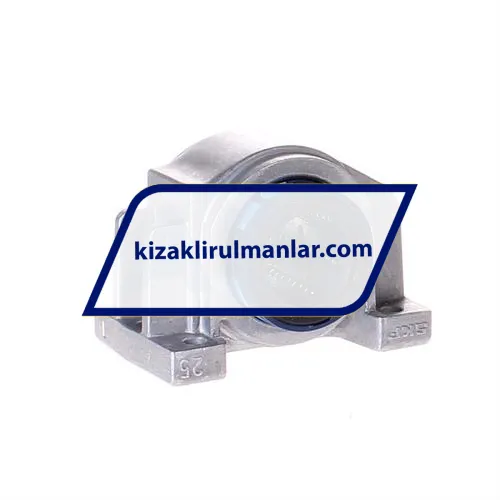 SKF LUCD25-2LS
