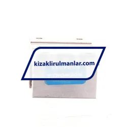 Thomson SSUPB08 rulman resim 2