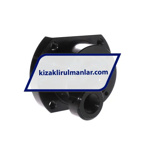 NSK WBK25DF-31 ürün fotoğrafı 3