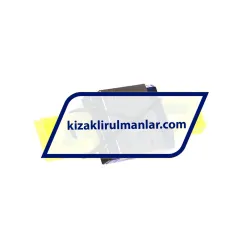 NSK PAE12ARS rulman resim 2
