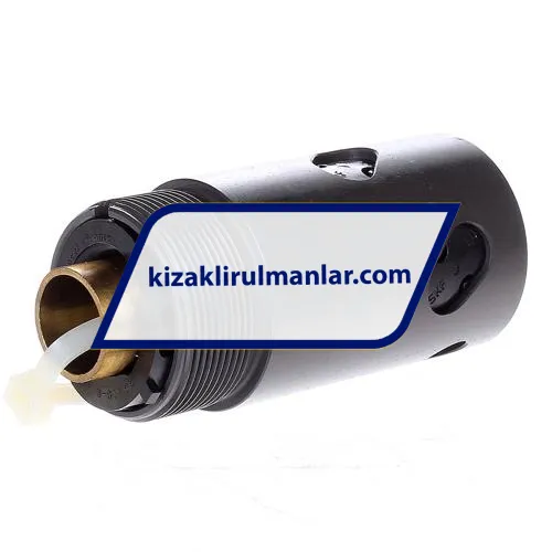 SKF SX25X10W